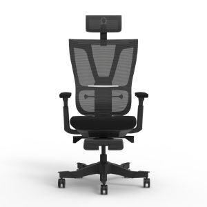 Omega Chair