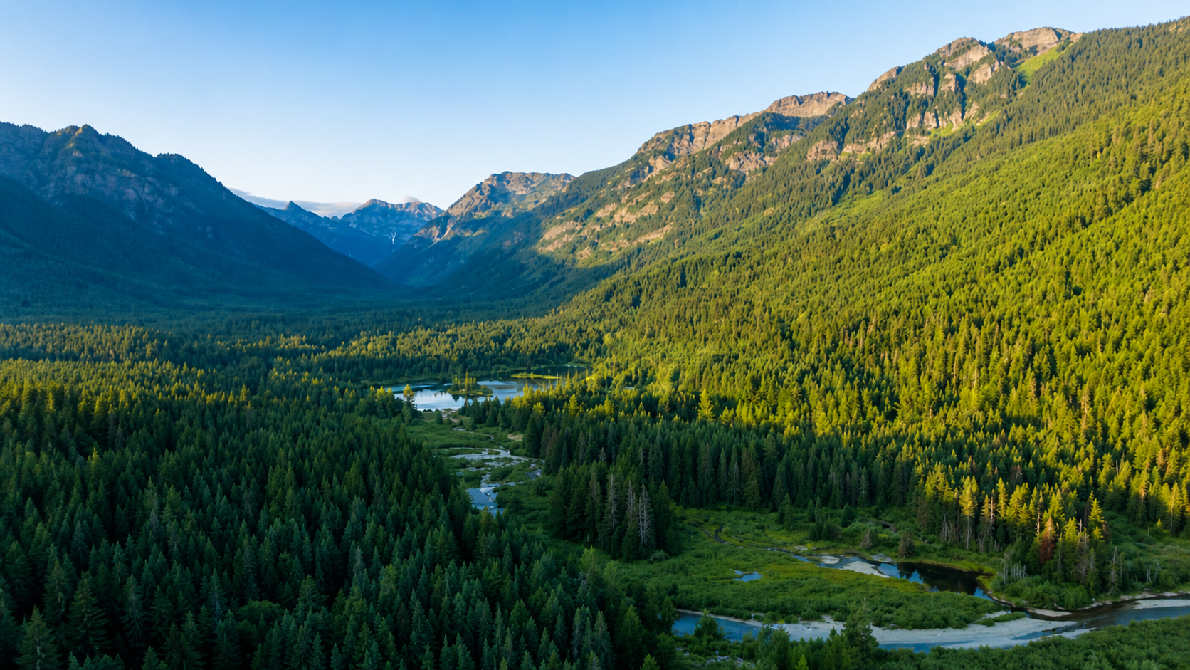 Pacific Northwest mountain landscape